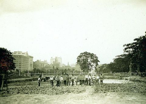 Frazer Fountain (visible to the right of the image) in its second location. Image: City of Sydney Archives