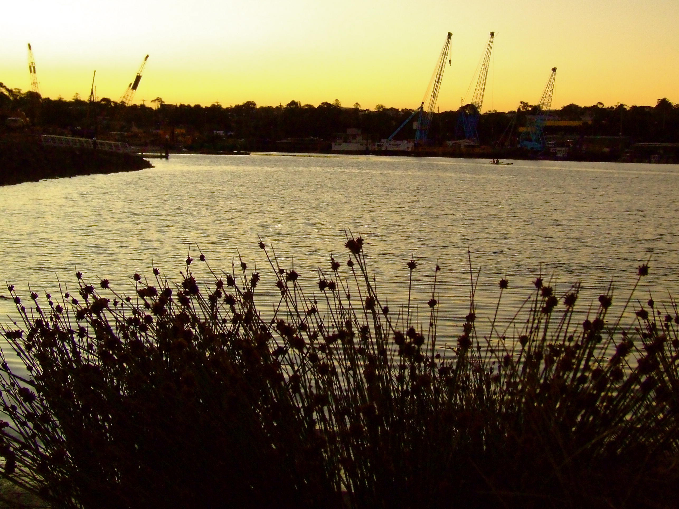 Sydney's Water Stories