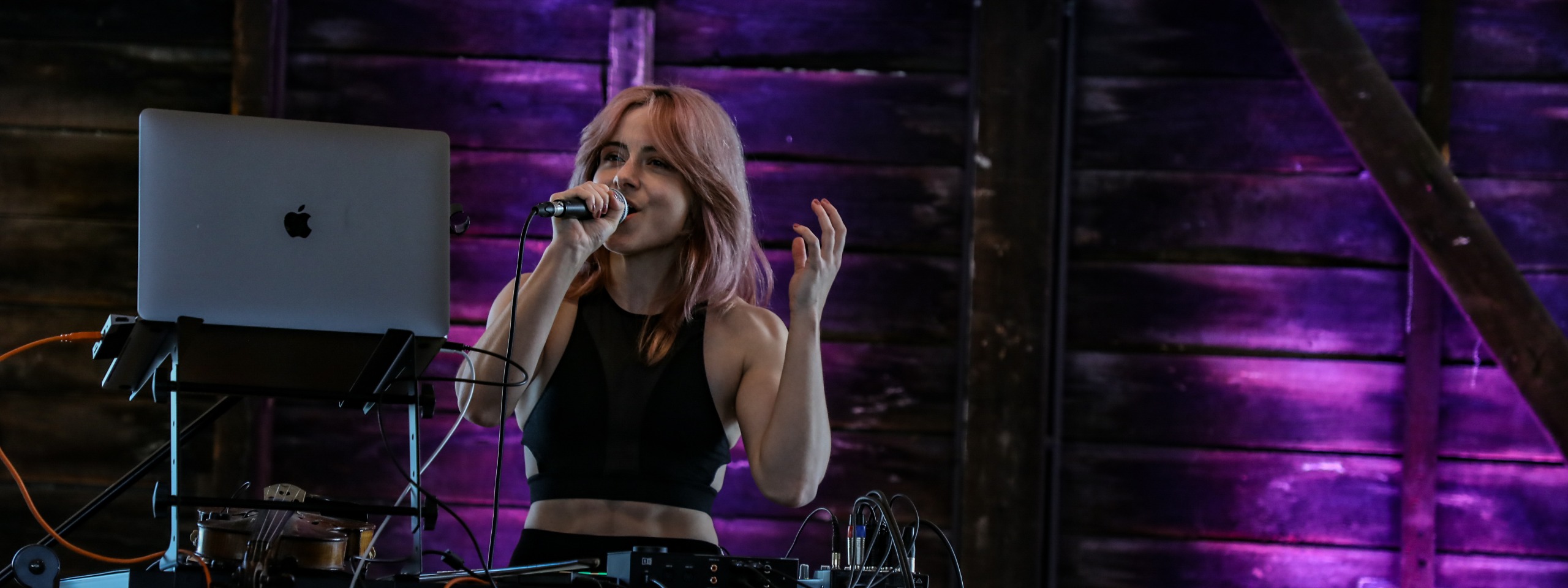 Whispers and Roars music workshops