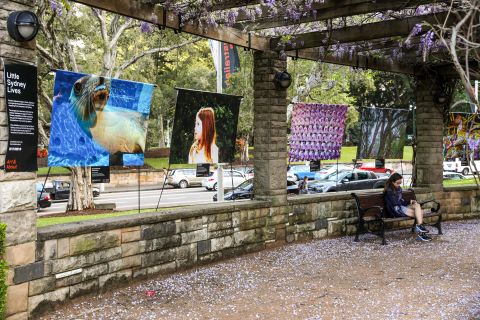 Little Sydney Lives 2019 exhibition in Hyde Park