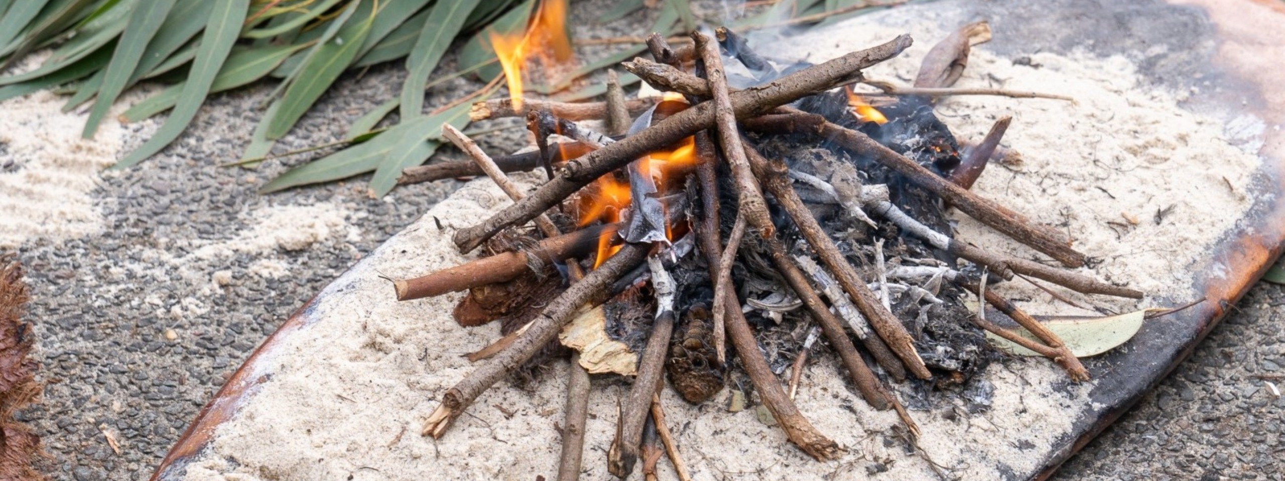 Aboriginal cultural talks. Image: supplied.