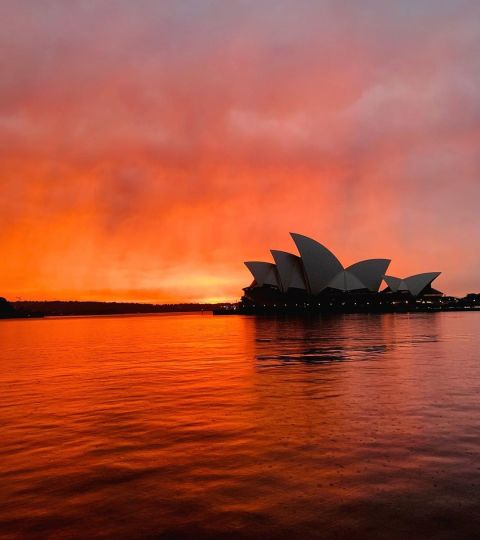 Sunrise over the harbour. Photo by @suchetasinghal on Instagram