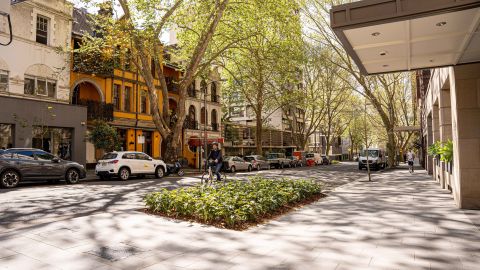 Macleay Street greening. Photo: City of Sydney