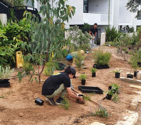 City of Sydney grant recipient Wildflower helps budding Aboriginal gardeners grow their skills