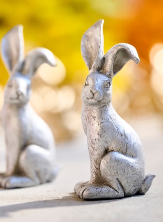 Image Grid - B - mobile-1 Image Grid - B - mobile-1