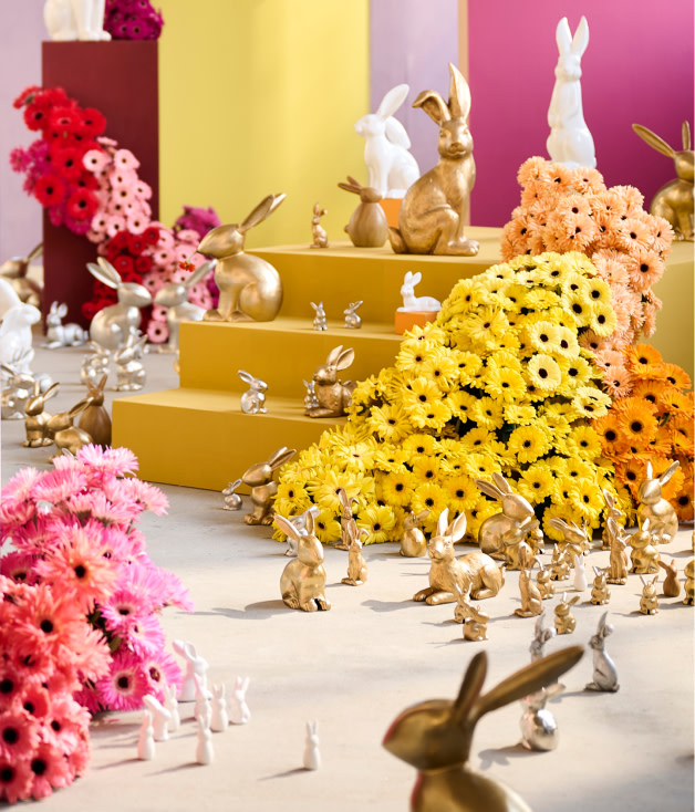 Image Grid - A - mobile Image Grid - A - mobile