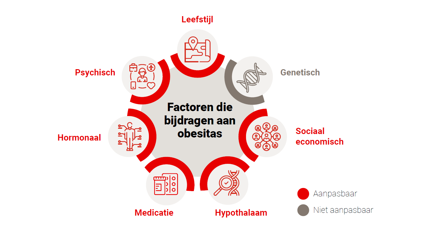 Factoren die bijdragen aan obesitas