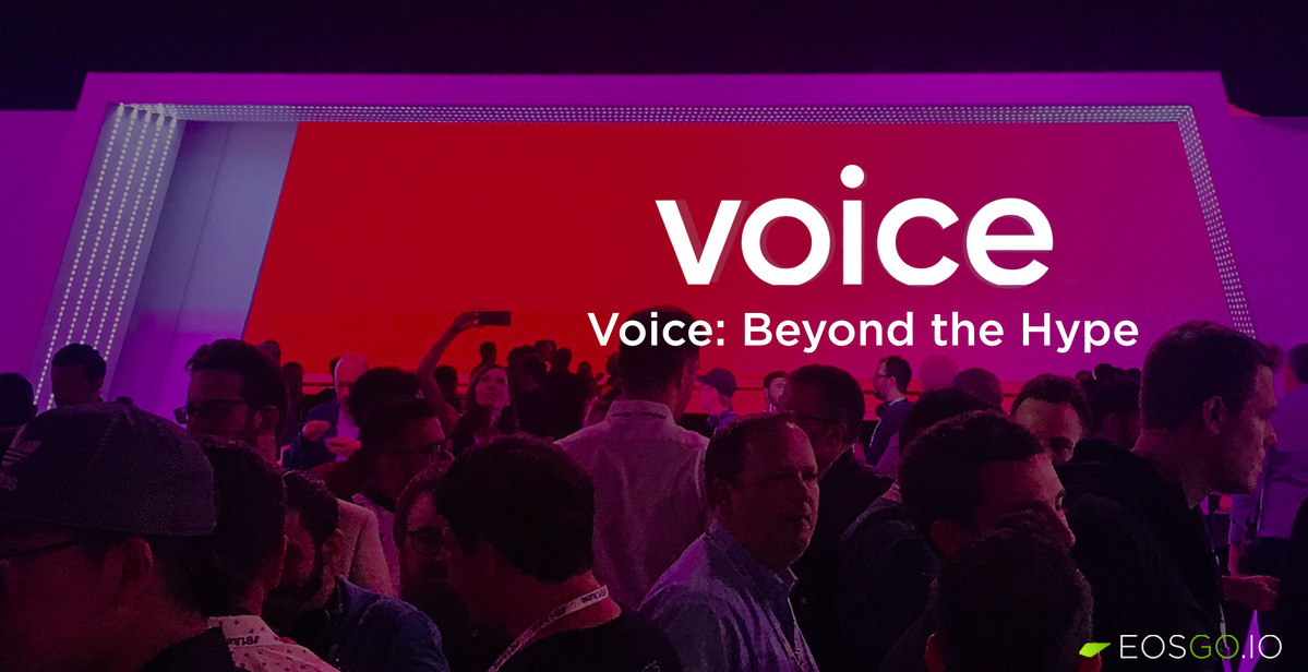 voice-beyond-the-hype-big