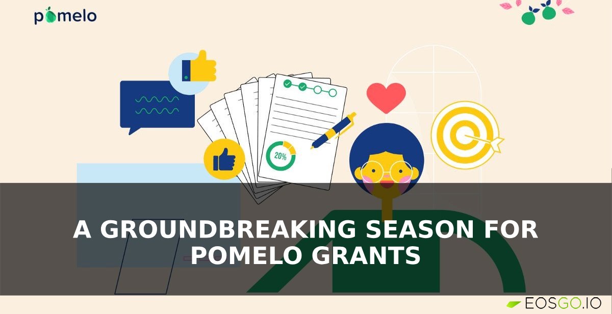 A Groundbreaking Season for Pomelo Grants