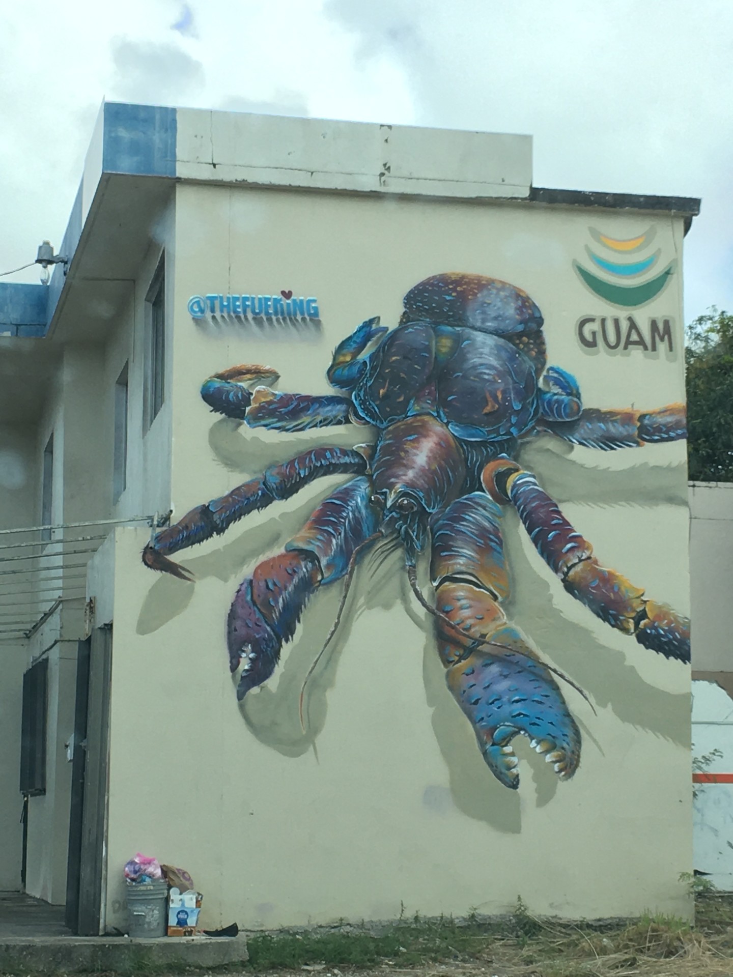 Guam hermit crab wall-art