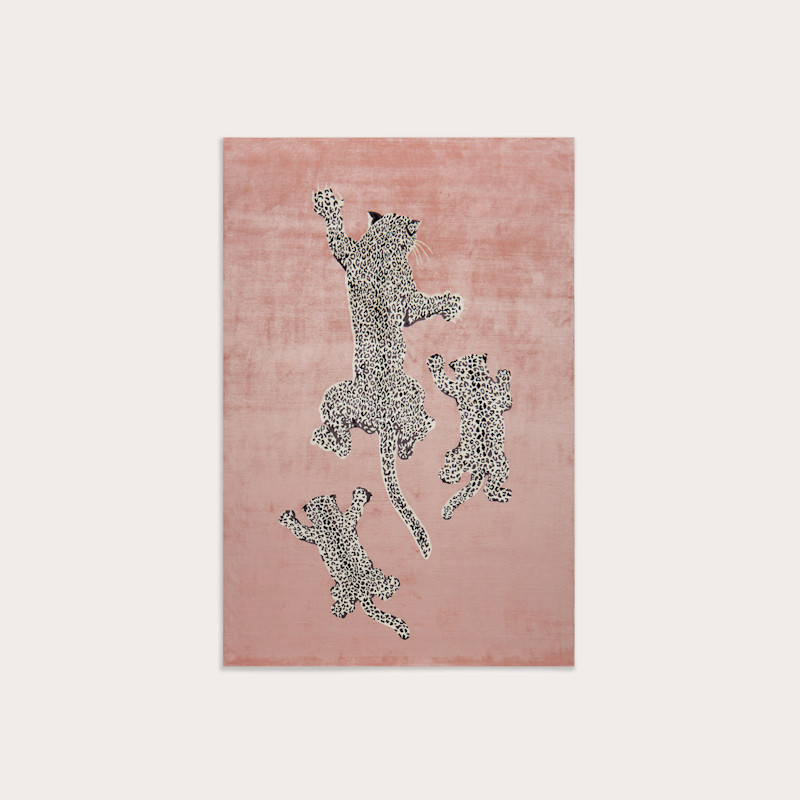 In studio photograph of Climbing Cubs