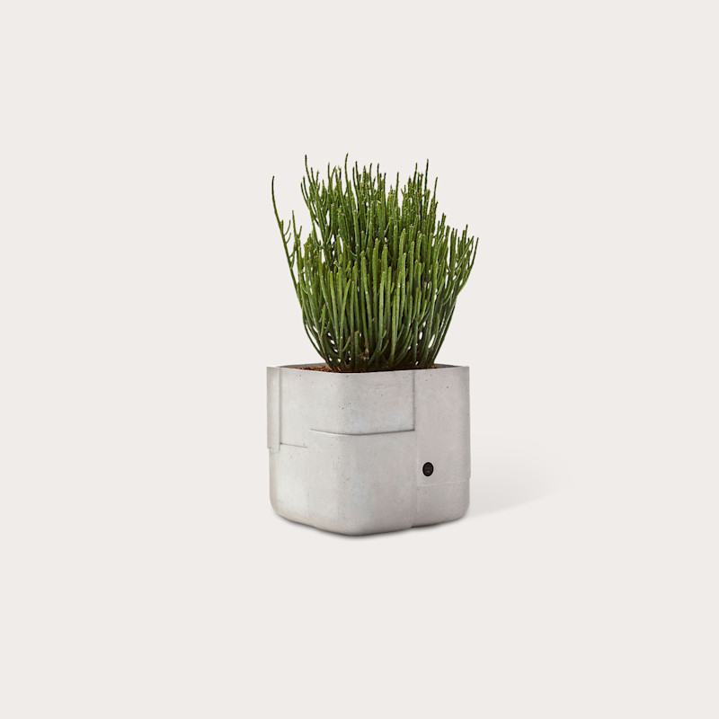 In studio photograph of Aarde Square XS
