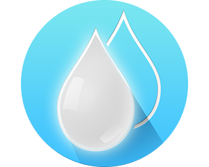 Wet & Dry