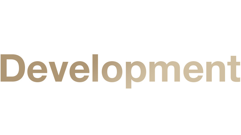 Development