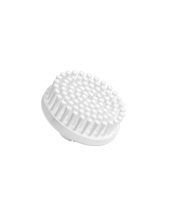 Normal brush