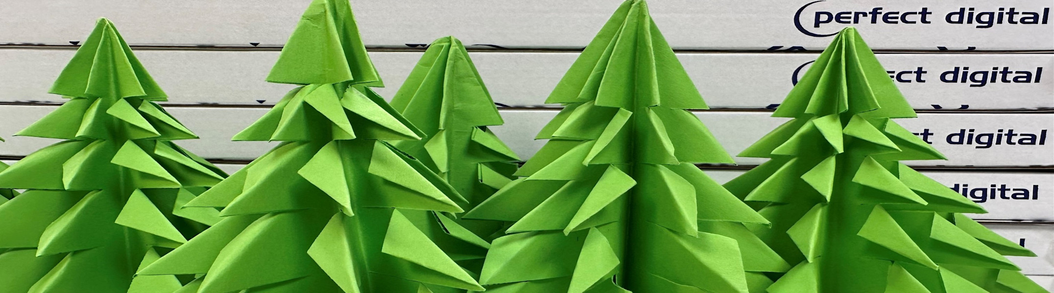 MERRY CHRISTMAS & HAPPY NEW YEAR! 🎄✨