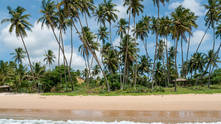 Strand Dikwella, Sri Lanka Südküste