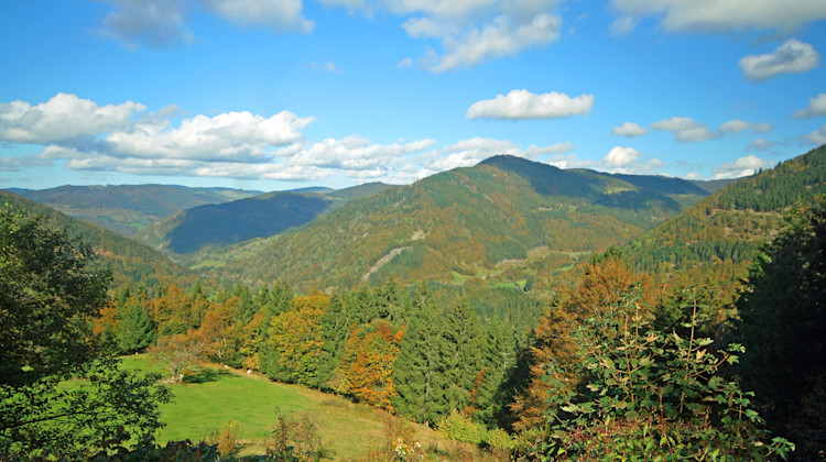 Schwarzwald, Titisee-Neustadt, Baden-Württemberg