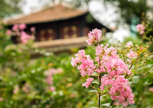 Saigon Zoo & Botanischer Garten, Thành phố Hồ Chí Minh / Ho-Chi-Minh-Stadt