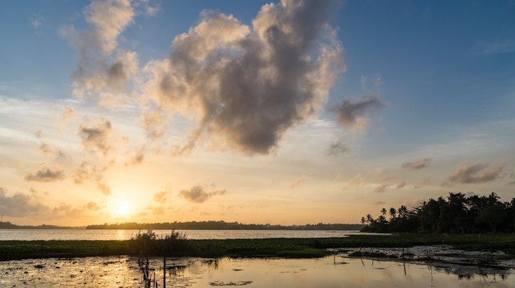 Bolgoda Lake, Piliyandala, Sri Lanka Westküste