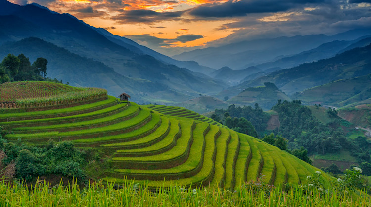 Reisterrassen Mu Cang Chai, Vietnam