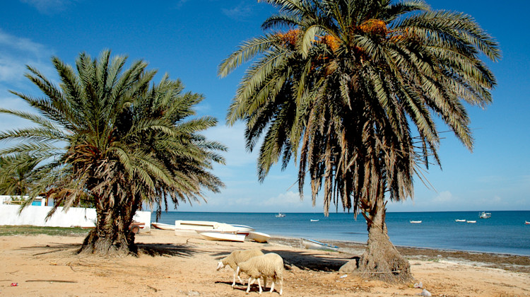 Strand Zarzis, Djerba