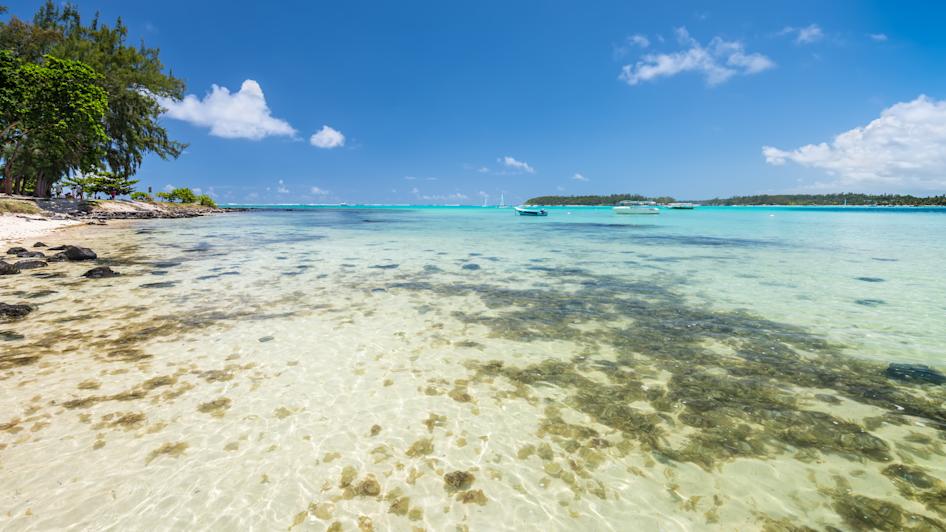 Marine Park, Blue Bay, Mauritius