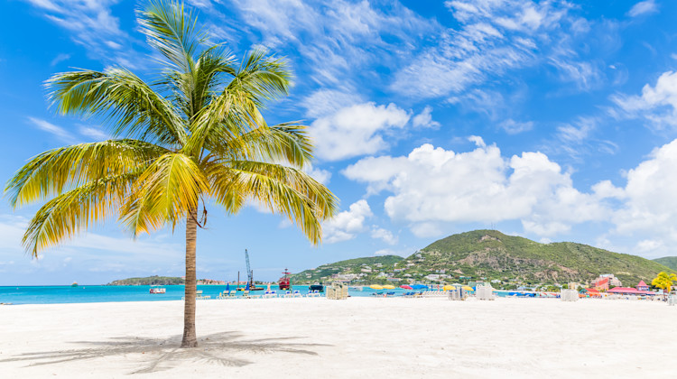 Palme am Strand, Philipsburg