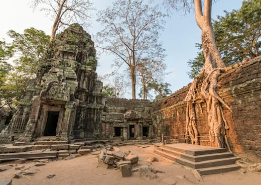 Ta Prohm Tempel, Angkor Wat