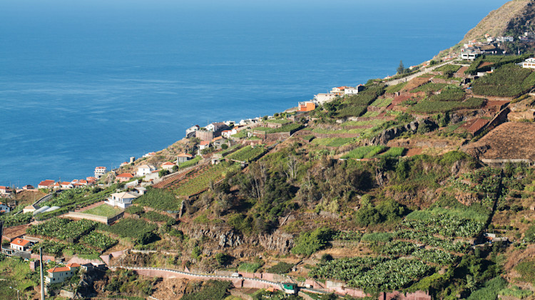 Estreito Camara De Lobos, Madeira