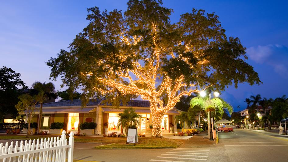 Zentrum Naples, Florida