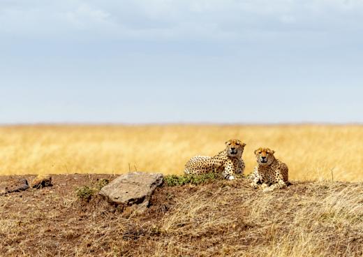 Mara Triangle, Masai Mara, Rift Valley