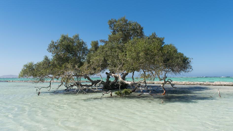 Wadi El Gemal National Park, Marsa Alam/El Quseir
