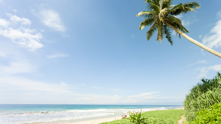 Strand Balapitiya, Sri Lanka Südküste