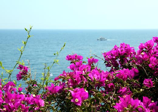 Botanischer Garten Marimurtra, Blanes, Katalonien