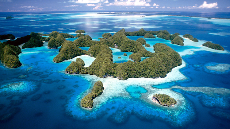Jellyfish Lake