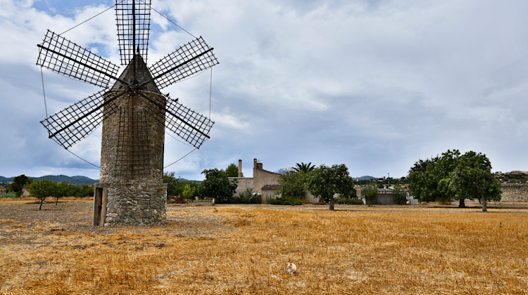 Windmühle Porreres, Mallorca