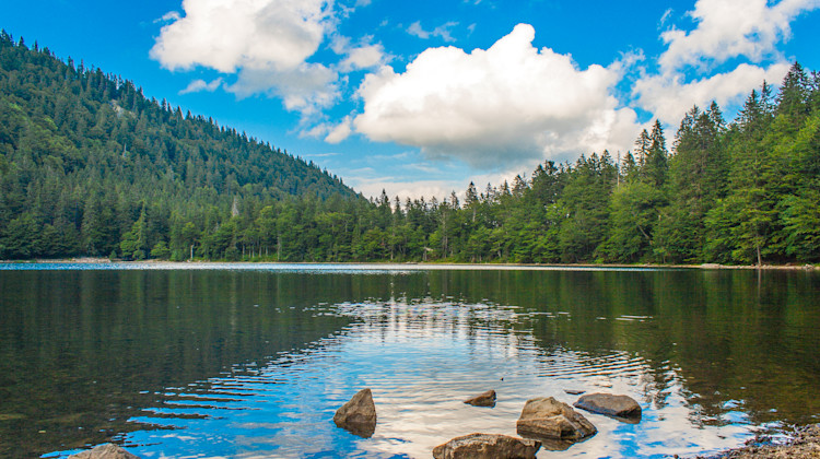 Feldsee, Feldberg (Schwarzwald), Baden Württemberg