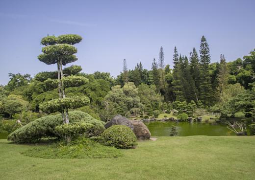 Botanischer Garten Santo Domingo, Boca Chica, Dominikanische Republik Südküste