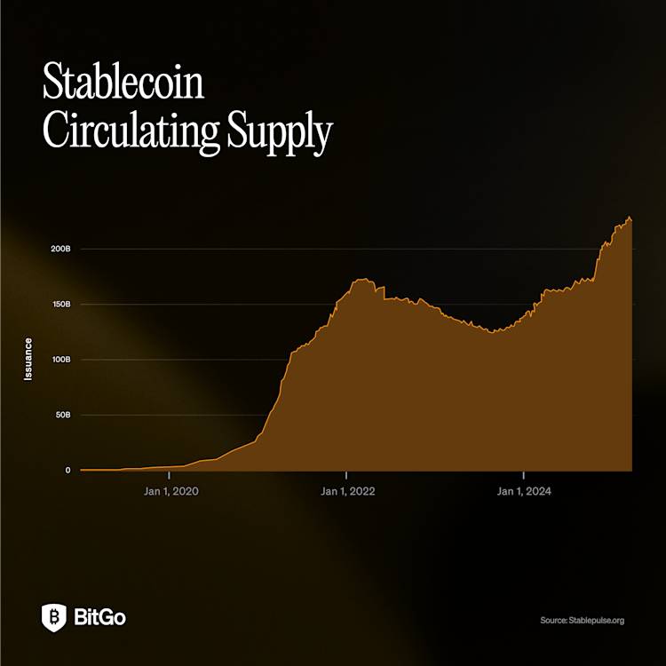 Stablecoin Charts Circulating Supply (3)