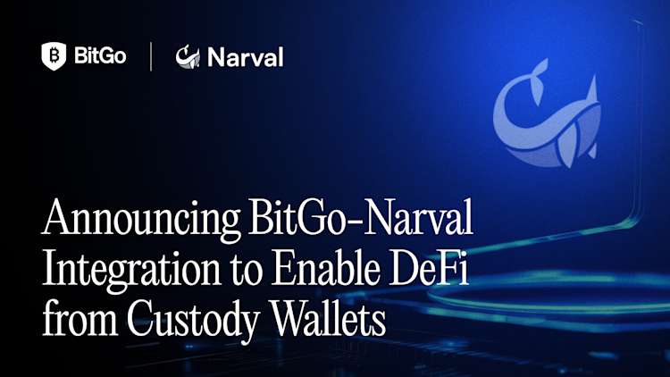 Narval Blog Banner (1).png