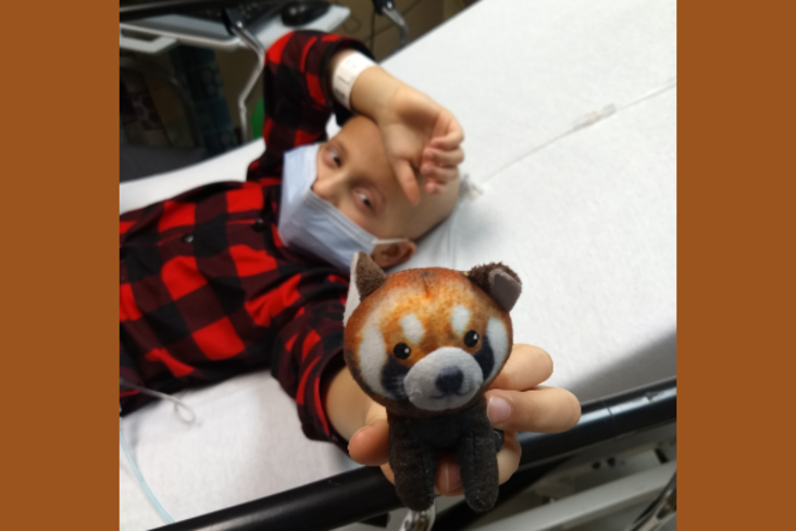 Tyler Bates Blog Image Red Panda