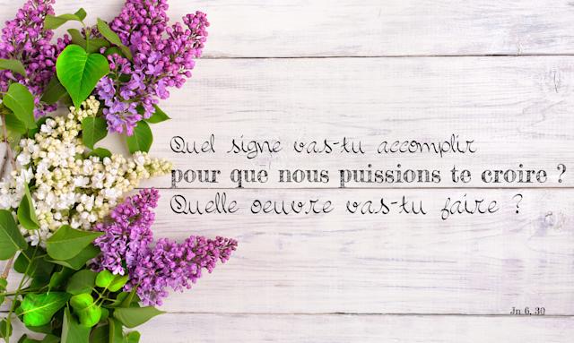 FR-Evangile-Illustre-2017-05-02