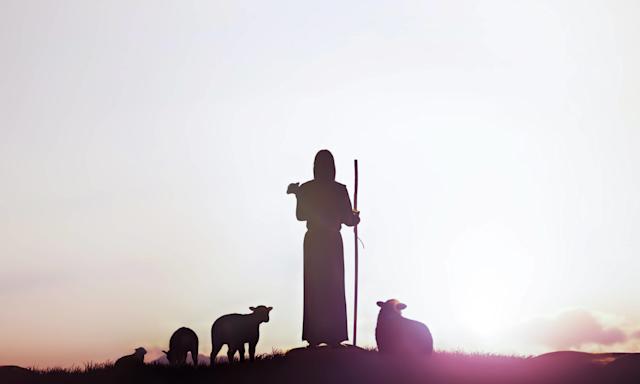 Neuvaine à Padre Pio - Jour 8 - Berger guidant ses brebis - Photo