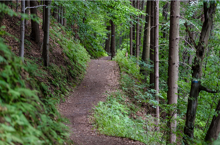 Wandelroute wandelsite