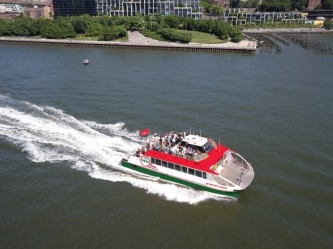 Fastest Way to See the Statue of Liberty from Downtown in NYC