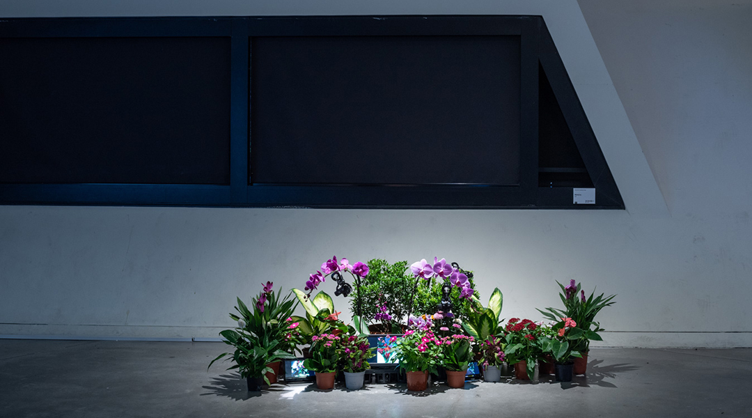 Ziwei Wu and Lingdong Huang, Mimicry (2020). Constructing Contexts—Art Machines 2. School of Creative Media, City University of Hong Kong, Hong Kong