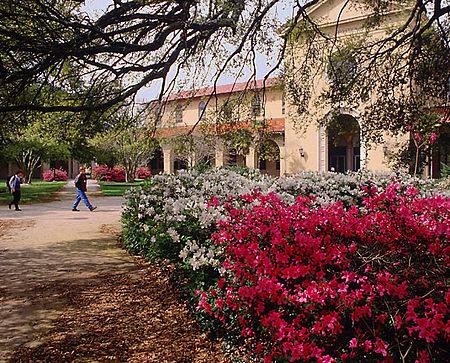 Louisiana State University campus