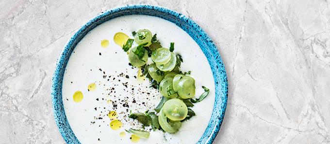 PI6 18 ajo blancokeitto