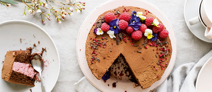 Vadelma-suklaakakku kuvitus